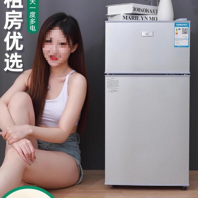 Small Refrigerator Household Small Dormitory Rental Room Frozen Refrigeration Mini Double Door Refrigerator Energy Saving