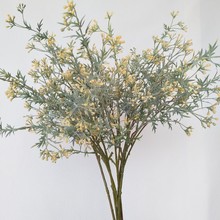 �������l���ӹ���˼���״�ݱ��W��@�ҾӘӰ��g�b�c�����֦