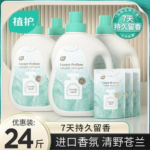 Plant-Protecting Orchid Perfume Laundry Detergent with Long-Lasting Fragrance, Low-Foaming, Whole Box Batch, Affordable Package for Student Dormitories to Start School