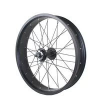 20-дюймовый широкий колесный блок ER73S2S велосипед снегоход 20x4.0 передний колесный комплект