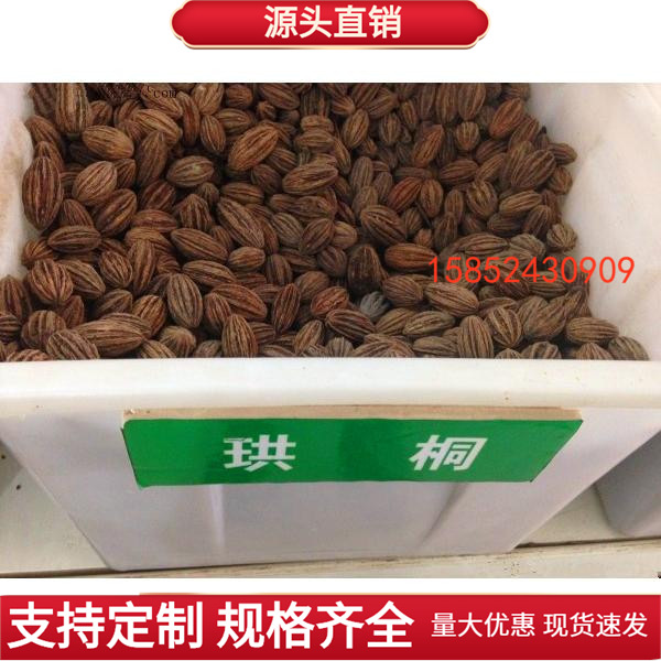 珙桐种子 珙桐树种子 珙桐苗种子 珙桐树苗种子 优质珙桐种子观赏