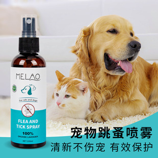 Cross-Border Pet Flea Spray Wholesale Cat and Dog Universal Gentle Cleaning Repair Pet Grooming Cleaning Spray in Stock