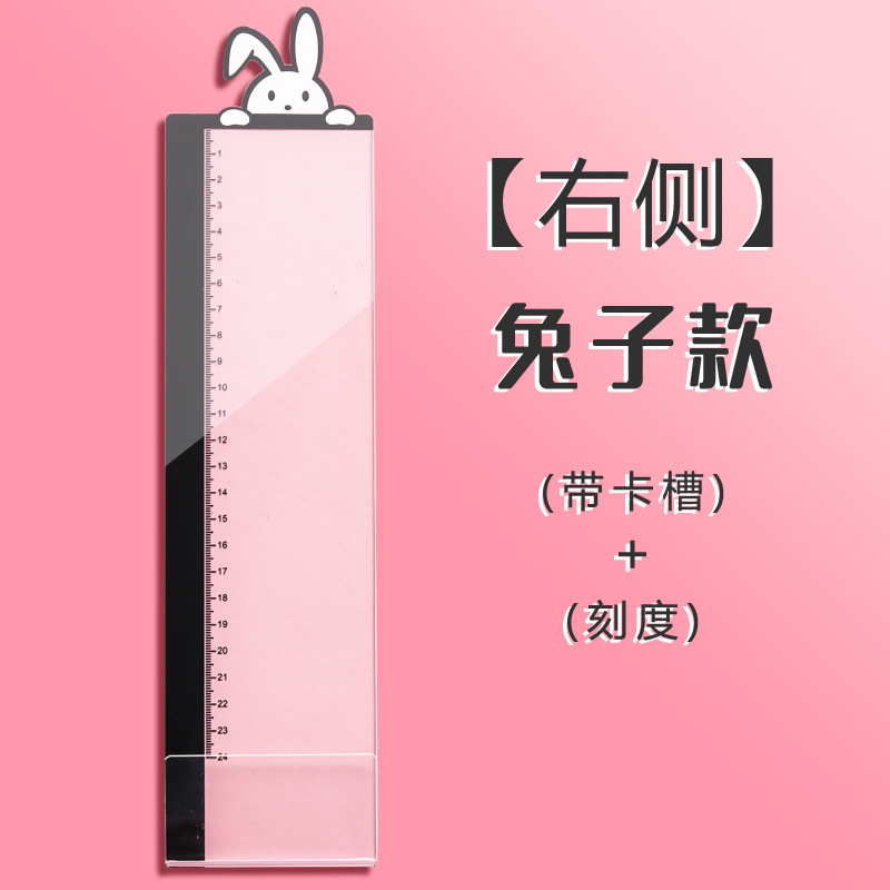 작은 흰 토끼 모델(오른쪽)