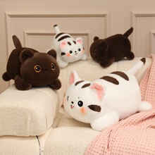 ���uβ�͵�С�����пɐ۲�Ȯ��ż����С����l�lë�q��߶Y�����l