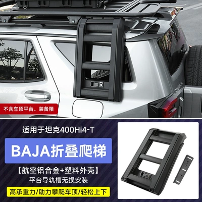 Roof rack roof platform Babos modified - optional-baja-side-ladder