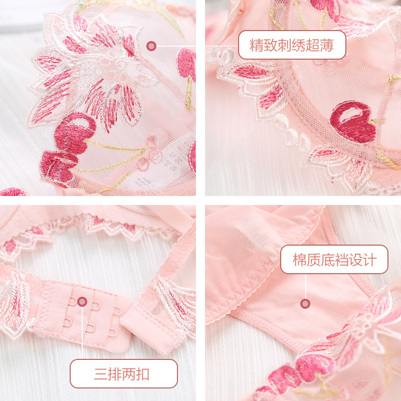 Encaje bordado ropa interior traje transparente sexy mujer europea y americana transfronteriza sujetador transpirable push up más tamaño sujetador traje