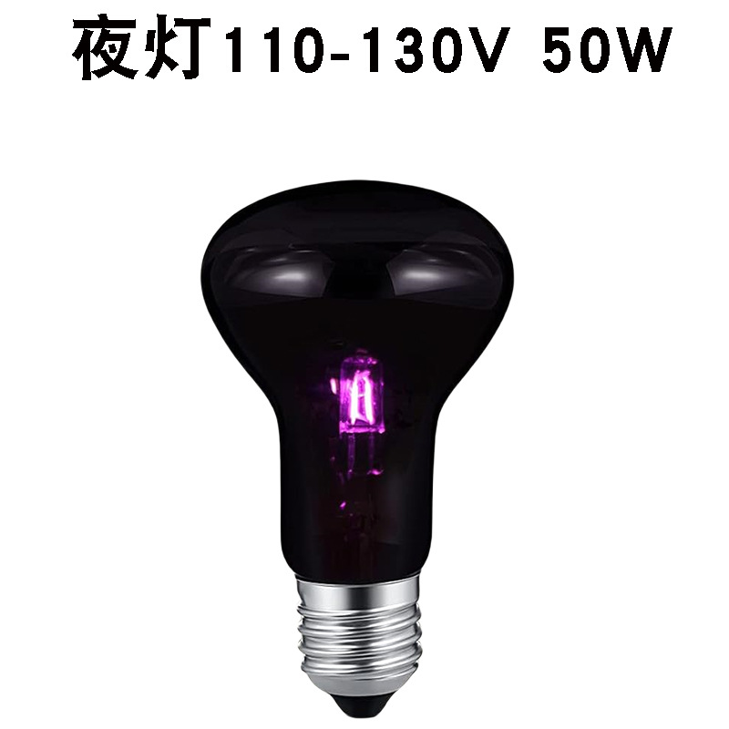 R63110v E26 야간 조명 50w