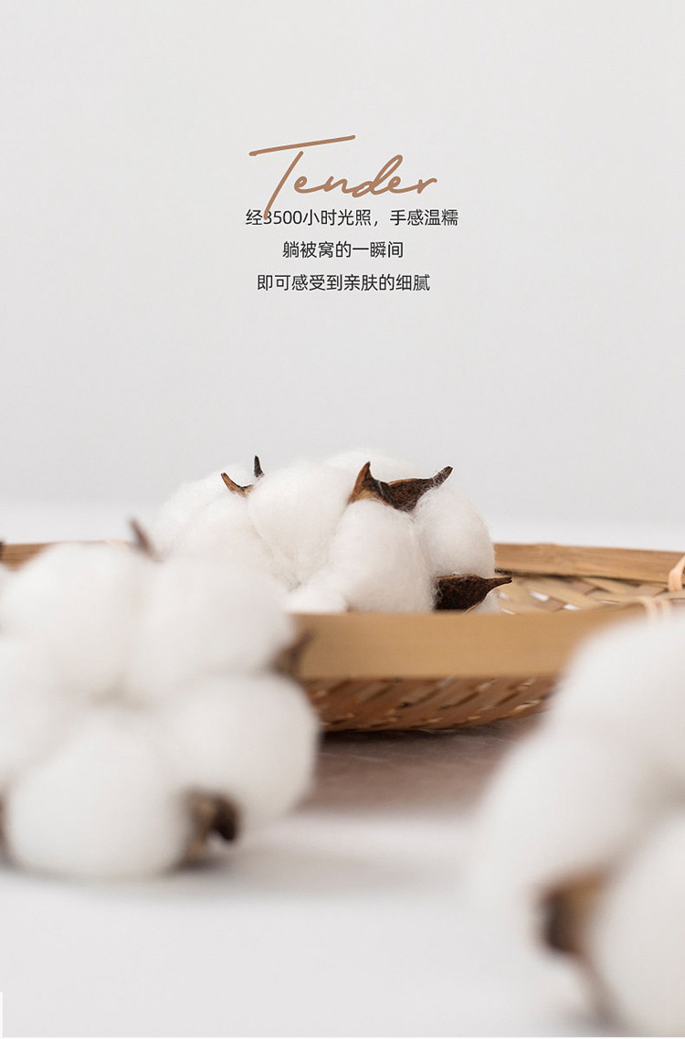 详情图(4).jpg
