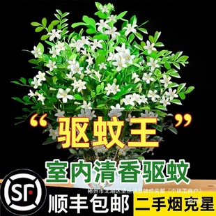 �S��ֱ�N����������������û����҃ȿ͏d��ò�ֲ������Ϙ��辰