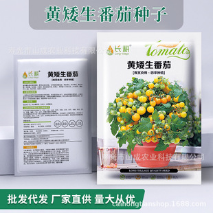 �������Է��ѷN��С�������t���N�Ѵ����̨�t�S�ڷ��ѷN�ݿɴ��l