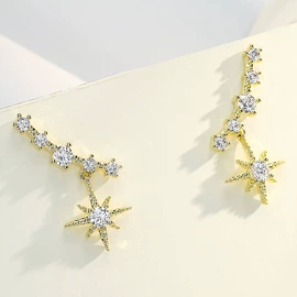 胸针;耳钉;耳坠