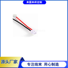 · USB 2.0 o߅ USB JST 