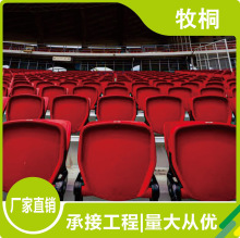 学校运动场伸缩观众看台座椅低靠背活动体育馆看台座椅固定座椅