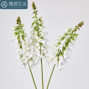 �S�����l��֧ë���S�����^�쾰�ٻ���c�廨��ĔzӰ���߻�ˇ