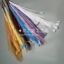 �������12����ë�Pβ�JȔֲ����ؿ͏d�Ҿ��b[�O�zӰ�b��