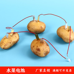 水果電池實驗材料 可樂發電 鋅片銅片電極組裝材料 小學科學製作