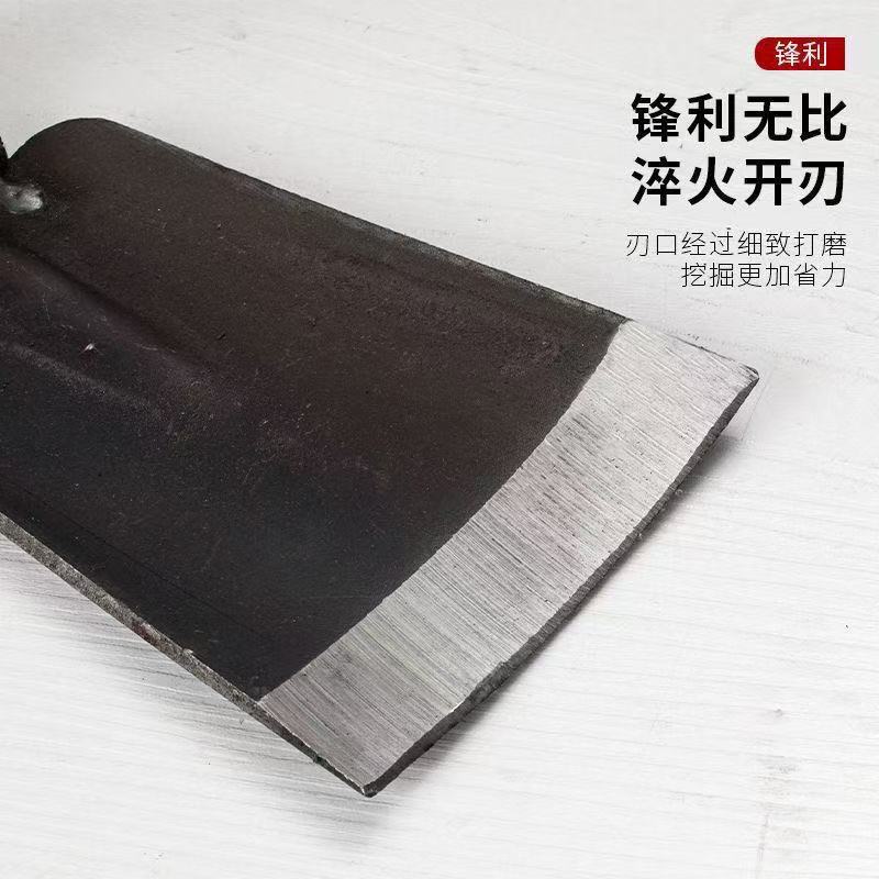 微信图片_20260120134440_16_83.jpg