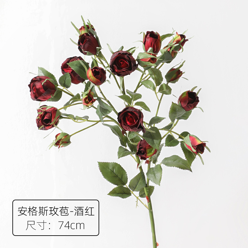 와인 레드