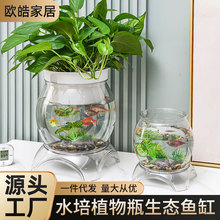 创意水培植物透明塑料花瓶容器绿萝盆栽水养花盆圆球形小鱼缸器皿