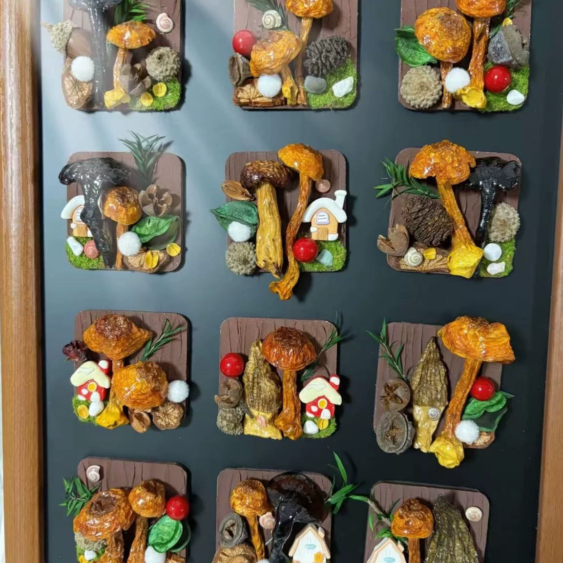 Юньнань грибы дикие грибы настоящие растения