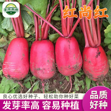 tмt SֱNˮ}߲˷NӼtļtƤ}ԷNԿɴ