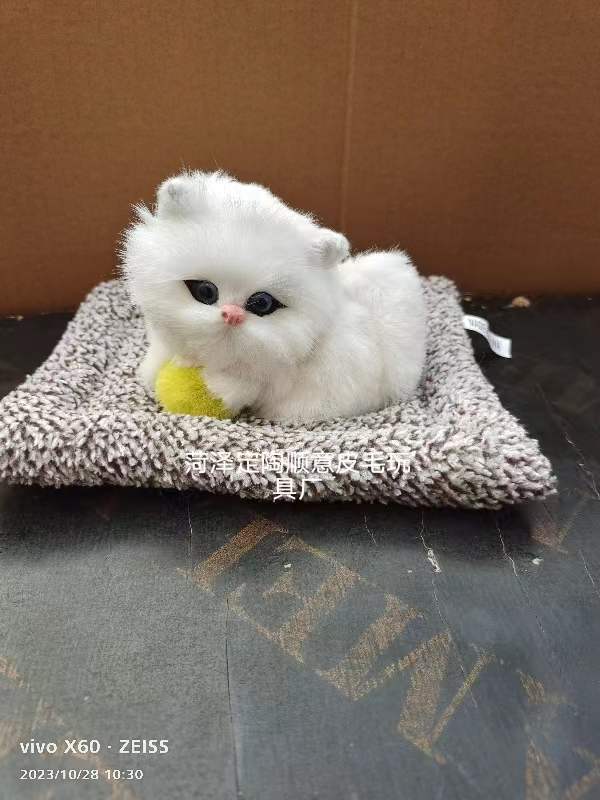 누워있는 고양이 11은 울 수 있다