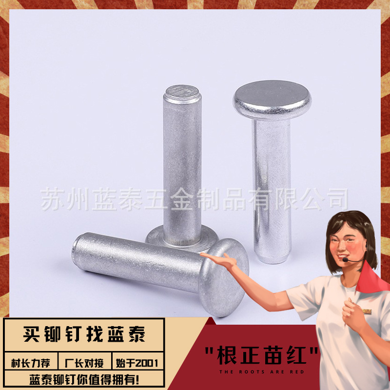 半圆头铆钉 半圆头实心铆钉 半圆头半空心铆钉 半圆头空心铆钉