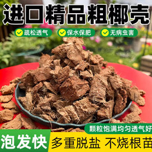 椰壳营养土养花通用型脱盐椰糠高泡发粗颗粒椰糠丝营养土兰花植料