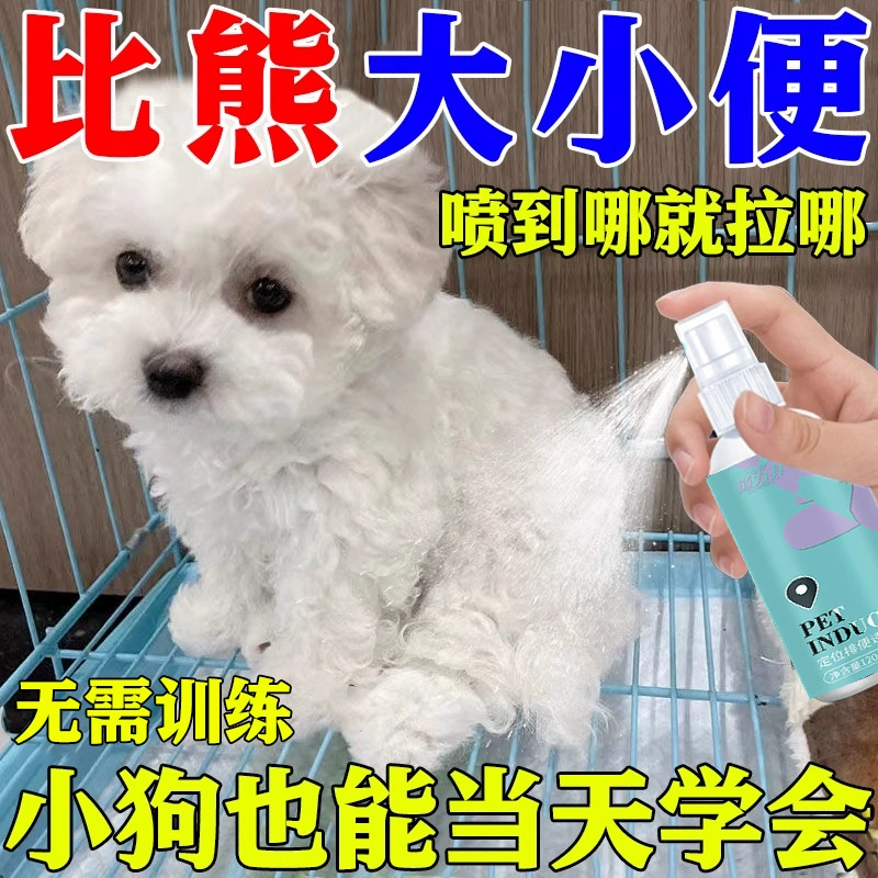 Собака с фиксированной точкой индукента дефекации, чем медведь индукторная собака моча, чем медвежья тренировка туалета