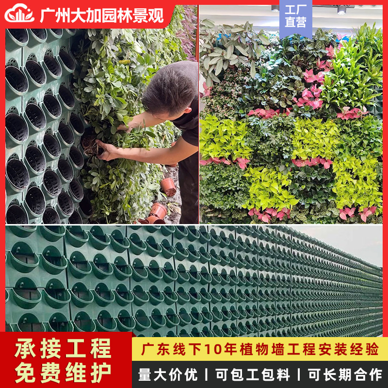 植物墙种植盒真植物种植槽挂壁花盆市政工程户外立体绿化墙种植盒