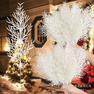 �羳����ؘ�֦����ֲ���}�Q���~�b������l�ɘ�֦PE���R�d����