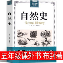 Ȼʷ 꼉n 沼 꼉СWxnx