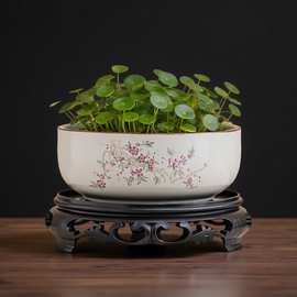 花盆陶瓷家用水培铜钱草水仙盆无孔粗陶水养器皿中式复古汝窑盆缸