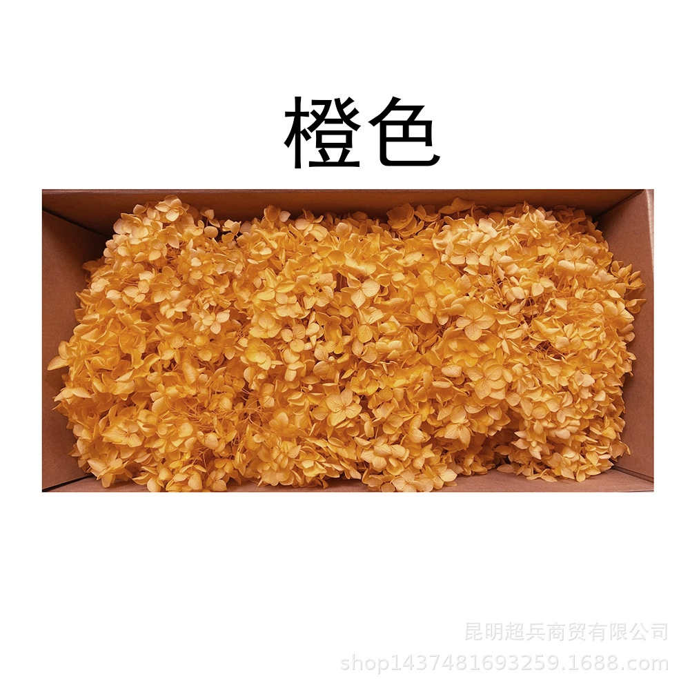 [Вечная Life Flower Hydrangea] Анна Градиентный цвет Лист Hydramid Книга цветов оптом DIY цветочная коробка материал для просмотра