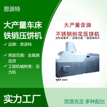 大产量车床铁销压饼机 铁屑铜屑压块机金属类废屑加工设备