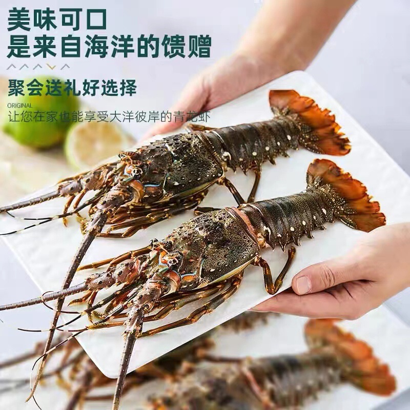 Factory Direct Supply of Small Green Crayfish, Fresh Quick-Frozen Large Crayfish, Large Green Dragon Flower Dragon, Dongshan Island Large Shrimp, Factory Direct Supply Factory Direct Supply of Small Green Crayfish, Fresh Quick-Frozen Large Crayfish, Large Green Dragon Flower Dragon, Dongshan Island Large Shrimp, Factory Direct Supply