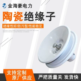 绝缘子;防雷器