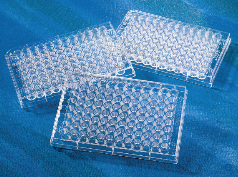 353078 48孔平底带盖细胞培养板TC处理 FALCON优级品