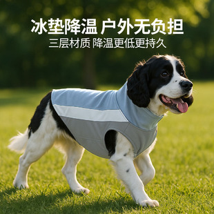 �ļ������R�׽���Ȯ��С��������͸��