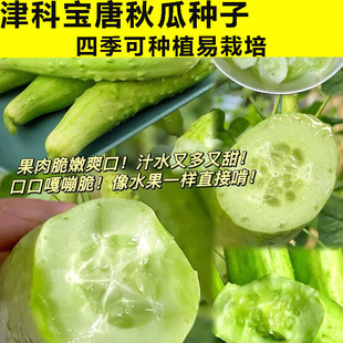 ��ƌ�����ϷN�Ӵ���С�S�ϷN�Ӝ\�G���|��������ڸк������