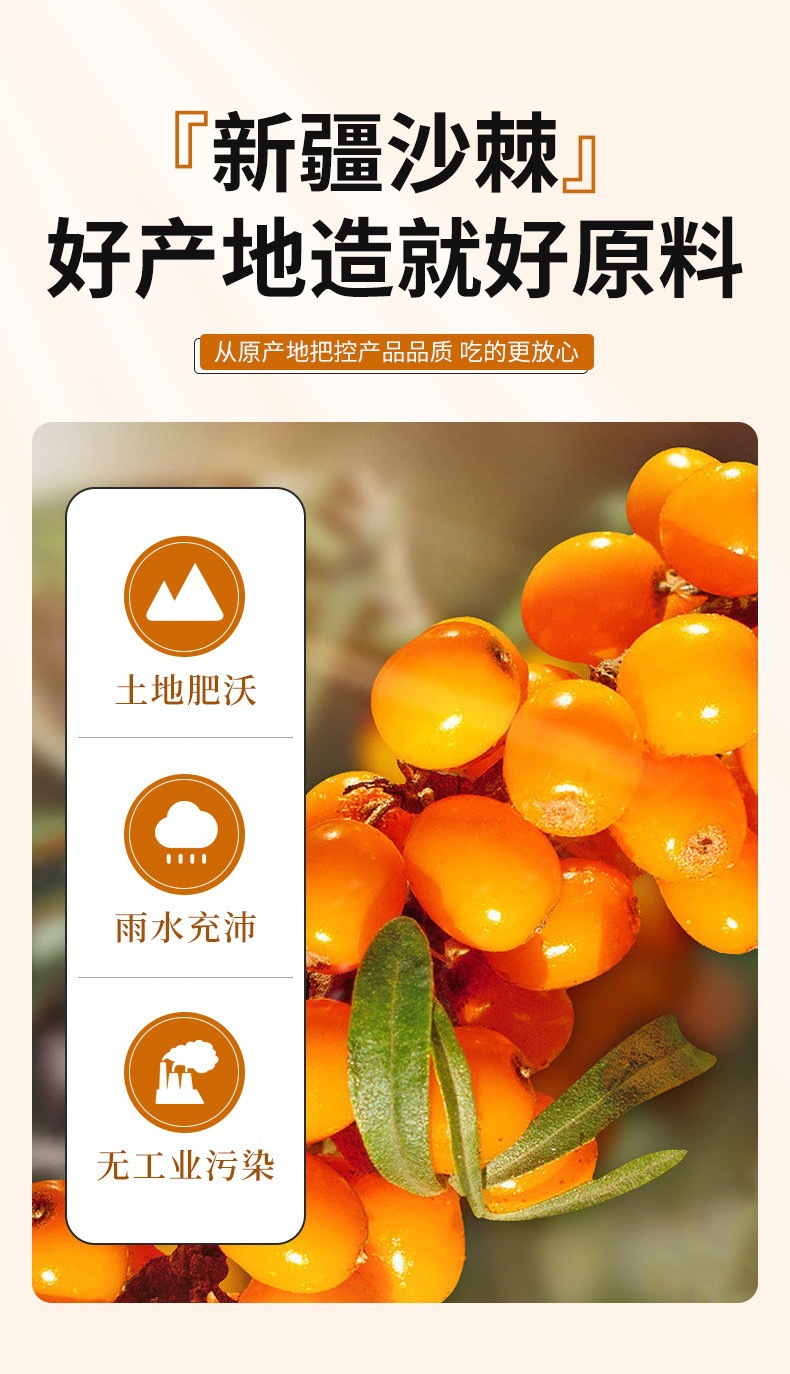 Sea Buckthorn Puree Sha Ji 210ml NFC Fresh Pressed Juice Inner Mongolia Daily Wellness Drink overview