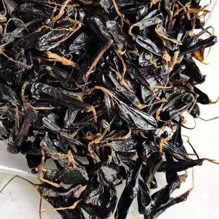 ���l���۹�����ș�� ��đ �岽��đ�� ������đ ��؛��������ă�