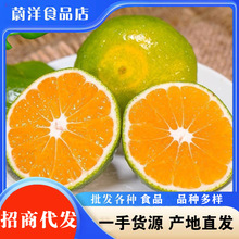正宗云南青皮蜜橘9斤整箱新鲜当季水果10批发包邮5现摘孕妇酸蜜桔
