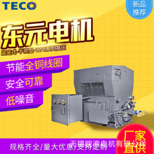 东元电机马达鼠笼式-半密型-WPII 高压电机异步电机卧式 6,000KW