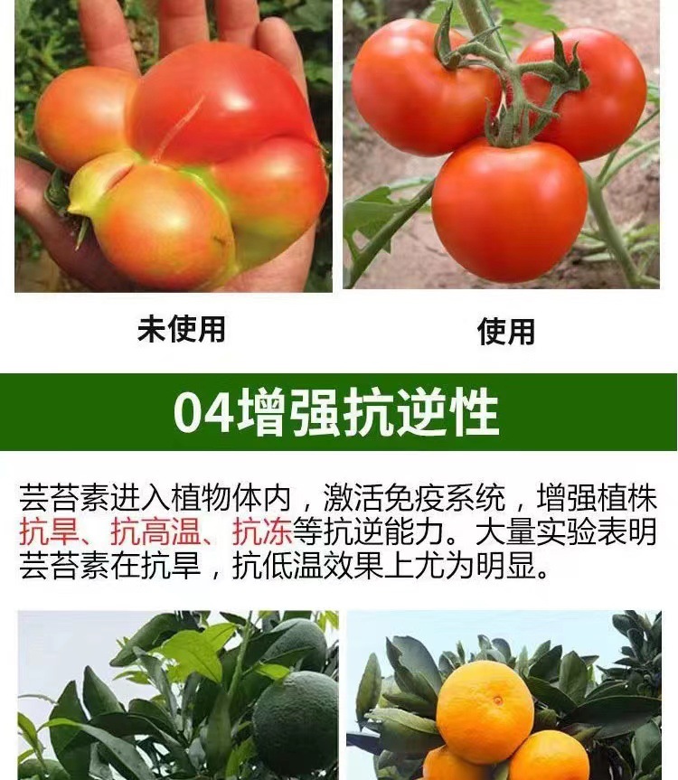 微信图片_20240425160243