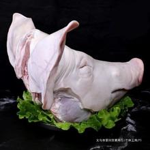 劈开骨猪头斤生猪肉肘子带耳朵猪口商用5条猪带新鲜猪头尾巴整只