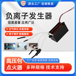 Supply Wholesale Negative Ion Generator Sterilization and Plasma Generator 5V 12V 24V Car-Mounted High-Efficiency Purification