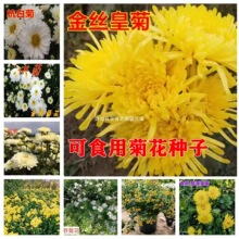 ʳ�þջ��N�ӿ��ݲ��z�ʾ��Sɽؕ�պ��׾����ļ��_�� ֲ��N��