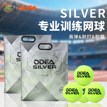 ODEA欧帝尔SILVER网球训练球DD2高弹耐打耐磨专业训练高级网球