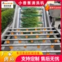 气泡风干连续式果蔬清洗机
